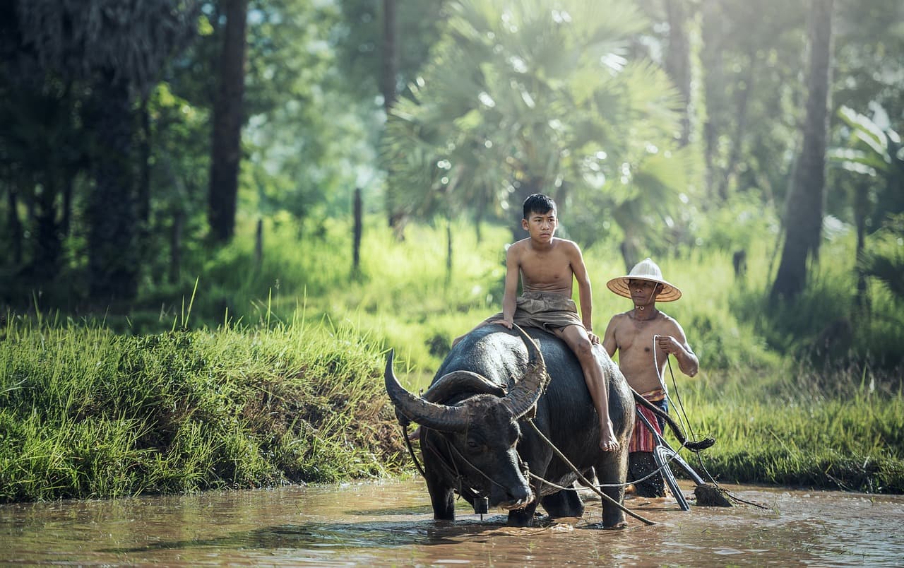 Southeast Asia Explorer